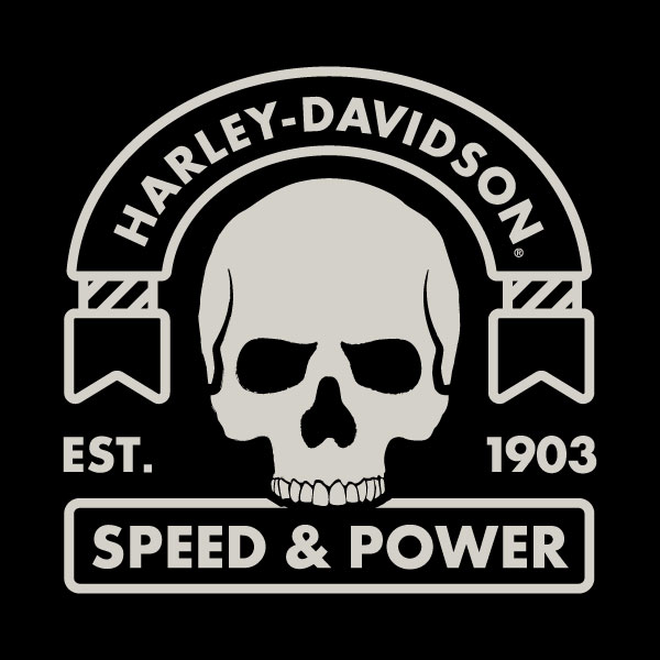 Forward facing skull with ribbons curved above it